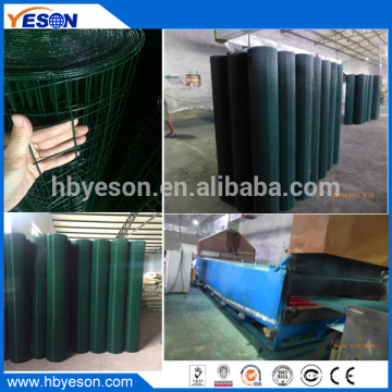 Iraq market 1.2m x 25m pvc coating mesh Anping factory